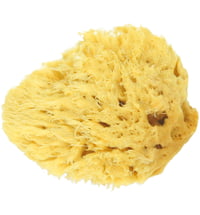 Koutouzis Natural Sea Sponges Natural Honeycomb Sponge