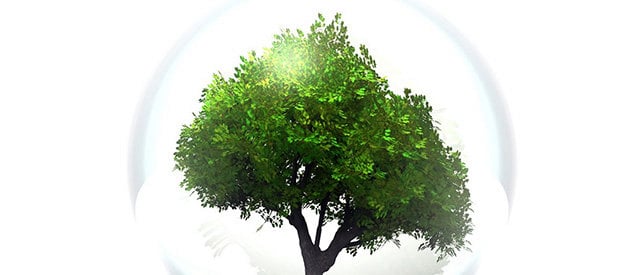 Introducing Biolindo