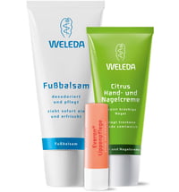Weleda Head to Toe Set