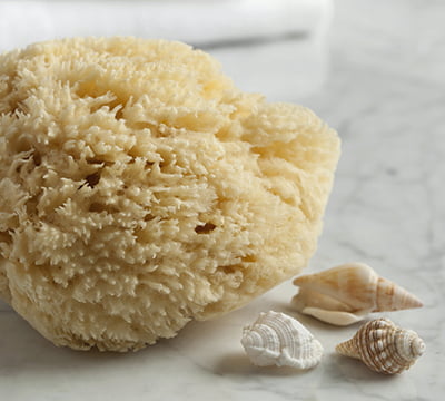 Natural Sponges & Konjac Sponges 