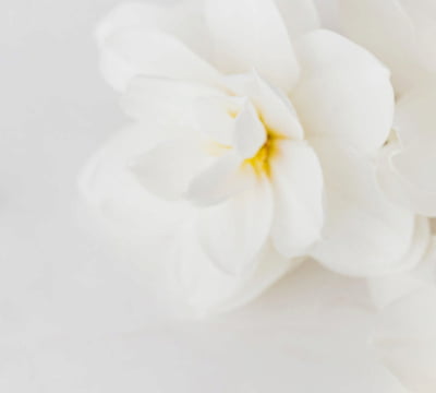 Natural Care for the Intimate Area