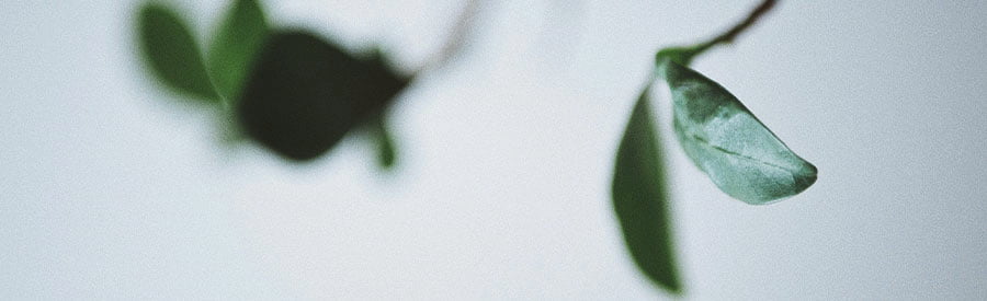 Natural Cosmetics by Antos 