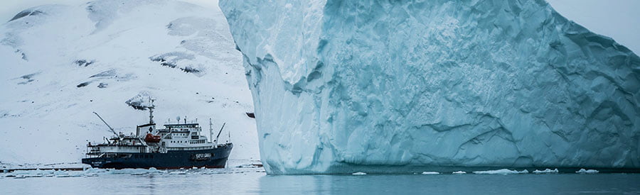 Natural Cosmetics by Natura Siberica